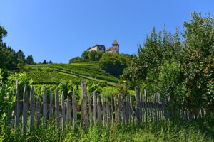 Castle Wehrburg in Prissian