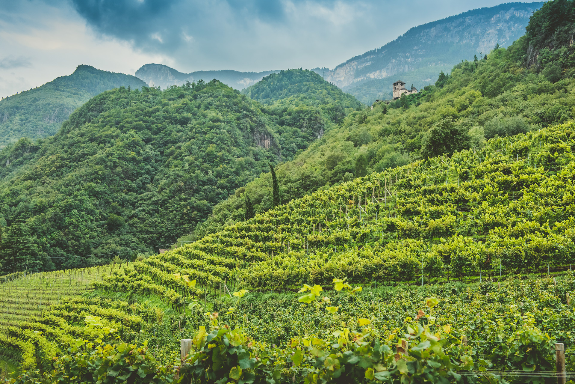 Weinberge Weinberge