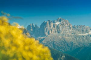 Rosengarten - Der Zauber der Dolomiten